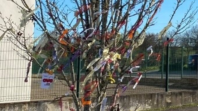 Arbre de la liberté et de la laïcité - Macro